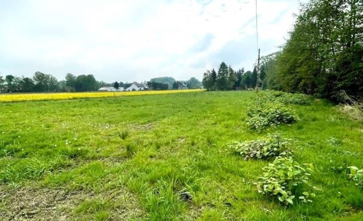 działka na sprzedaż - Jasienica, Międzyrzecze Dolne