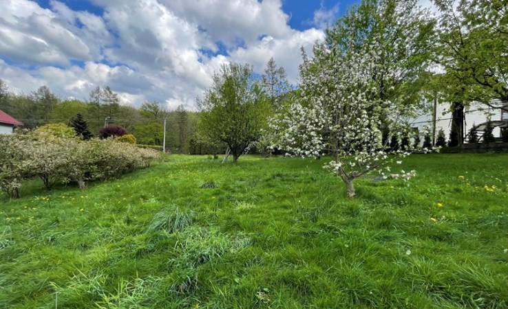 działka na sprzedaż - Jaworze