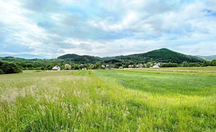 działka na sprzedaż - Lipowa, Twardorzeczka