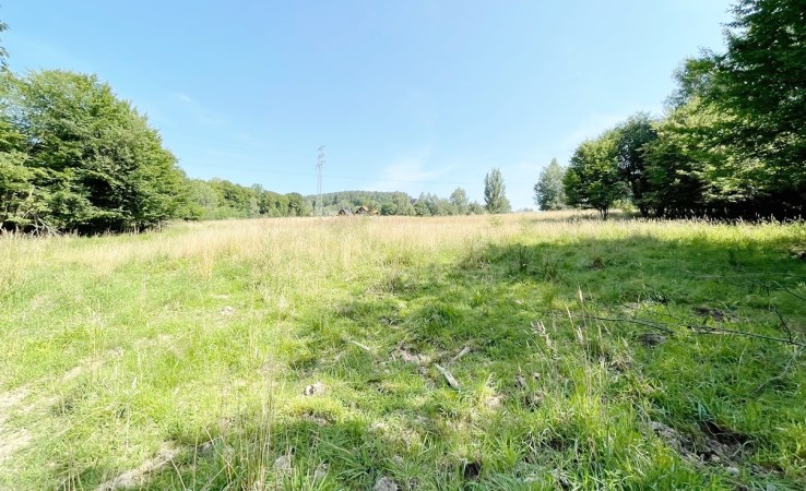 działka na sprzedaż - Łodygowice, Zarzecze