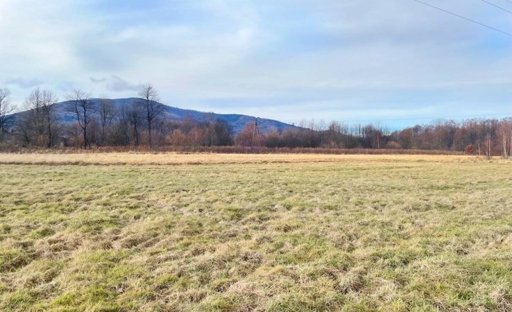 działka na sprzedaż - Buczkowice, Rybarzowice