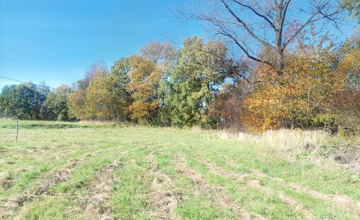 działka na sprzedaż - Łodygowice