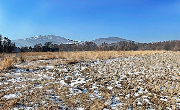 działka na sprzedaż - Buczkowice, Rybarzowice