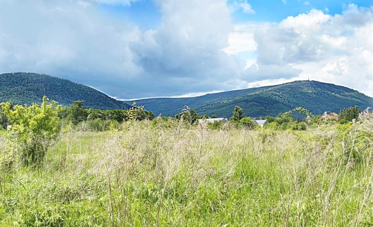 działka na sprzedaż - Radziechowy-Wieprz, Radziechowy