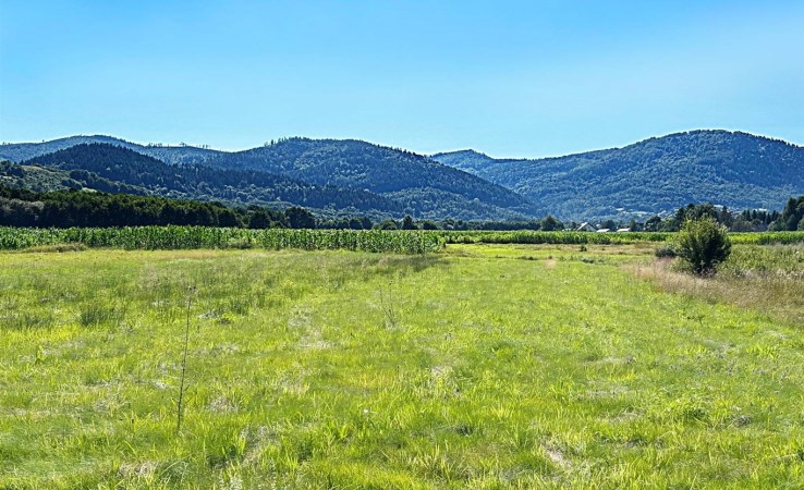 działka na sprzedaż - Radziechowy-Wieprz, Radziechowy