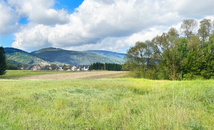 działka na sprzedaż - Lipowa