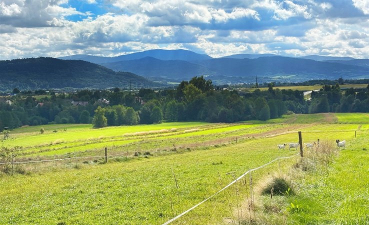 działka na sprzedaż - Łodygowice, Pietrzykowice