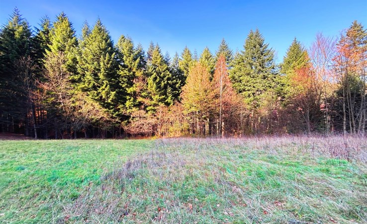 działka na sprzedaż - Lipowa